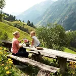 Hochalmbahnen 6w4, Zirbe, Nahe Gondel Rauris