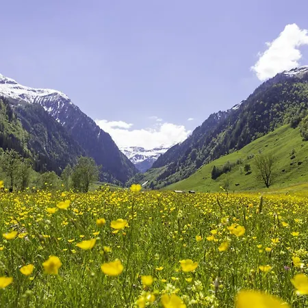 Hochalmbahnen Chalets 6W4, Zirbe, Nahe Gondel