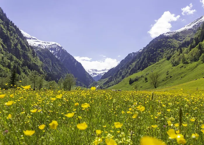 Hochalmbahnen Chalets 6W4, Zirbe, Nahe Gondel